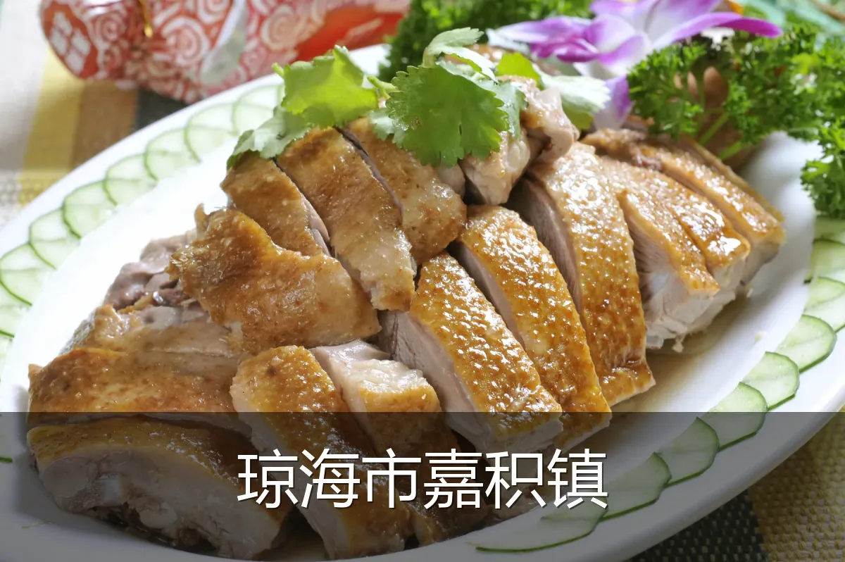 琼海市嘉积镇